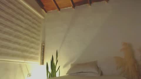 Snapshot of fabrizio_amery chatting on January 2025 12:28:01 AM -  A N D E R online show from January 2025 12:28:01 AM