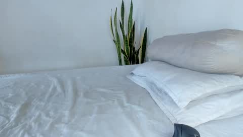 -  A N D E R online show from November 2025 06:29:01 PM