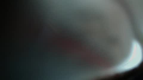 FallGays online show from November 2025 11:25:02 PM