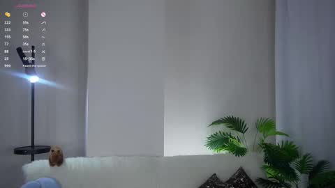 Snapshot of fallingflower chatting on February 2026 02:42:02 PM Kim online show from February 2026 02:42:02 PM