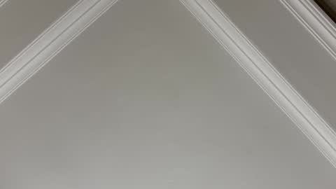 Snapshot of famsea chatting on November 2025 01:48:02 AM famsea online show from November 2025 01:48:02 AM