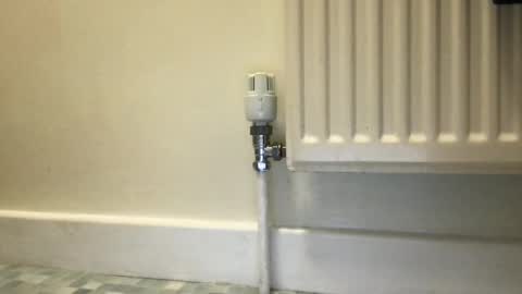 Snapshot of fantacyland chatting on December 2024 09:55:02 AM Alex online show from December 2024 09:55:02 AM