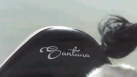 farianna_hot online show from May 2026 10:26:02 PM