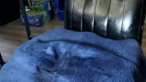 Snapshot of fat_fabulous1981 chatting on February 2025 12:51:01 AM Sarah online show from February 2025 12:51:01 AM