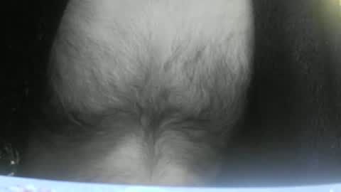 feardubh online show from February 2025 09:04:01 AM