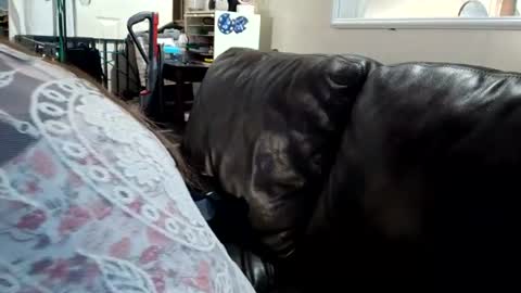 feastonme00 online show from July 2026 02:12:01 PM