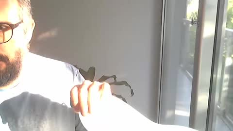 fedeGLOBOS online show from February 2026 09:22:01 PM