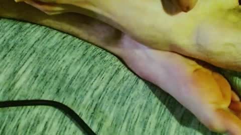 ask me online show from January 2025 01:44:01 AM