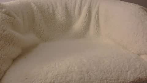 Snapshot of feels_too_good chatting on April 2026 02:11:02 AM feels_too_good online show from April 2026 02:11:02 AM