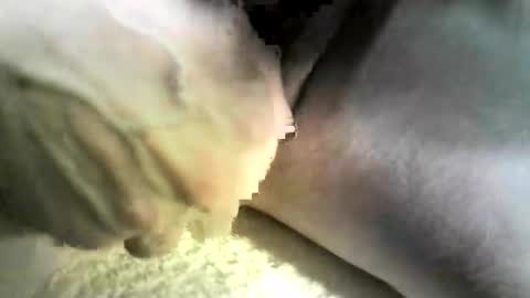 felicaste online show from October 2025 12:41:02 AM