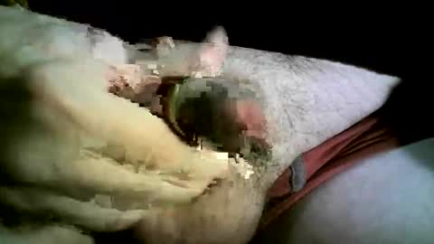 felicaste online show from November 2025 08:43:01 PM