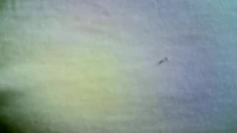 felicaste online show from April 2026 11:38:01 AM