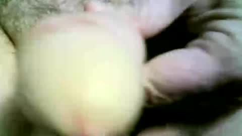 felicaste online show from April 2026 11:34:01 AM