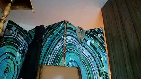 hungnsexy  online show from February 2025 07:07:02 AM