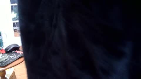 hungnsexy  online show from March 2025 09:59:01 PM