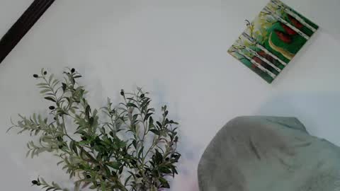 Snapshot of femboy_veronica chatting on May 2026 06:19:01 AM femboy_veronica online show from May 2026 06:19:01 AM