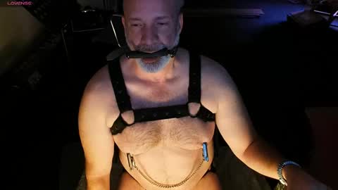 Piggy online show from March 2025 04:04:01 AM