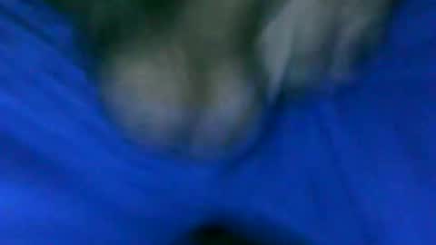 Snapshot of fer_2197 chatting on January 2025 01:24:02 PM fer_2197 online show from January 2025 01:24:02 PM