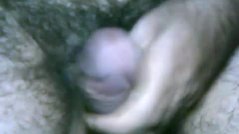 Snapshot of fer_2197 chatting on January 2025 09:55:02 PM fer_2197 online show from January 2025 09:55:02 PM