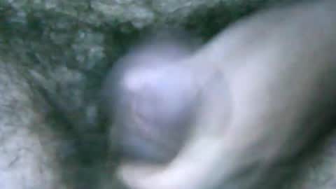 Snapshot of fer_2197 chatting on February 2025 01:54:01 PM fer_2197 online show from February 2025 01:54:01 PM