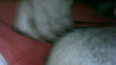 fer_2197 online show from November 2025 02:49:02 PM