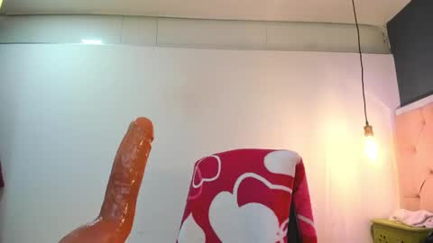 Snapshot of fer_wow chatting on February 2025 01:28:01 PM Fernanda online show from February 2025 01:28:01 PM