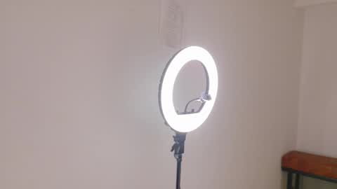 FERNANDA BROWN  online show from February 2026 12:36:01 PM