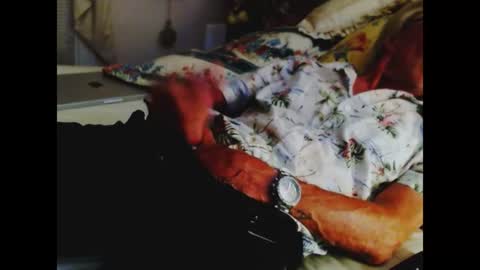 ferra_testarossa online show from July 2026 05:31:02 AM