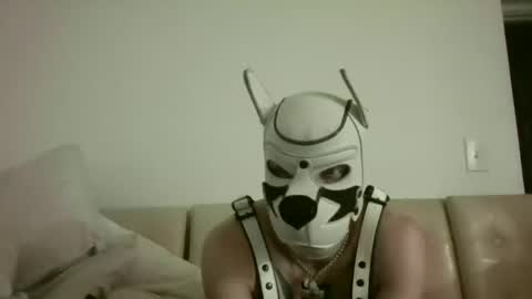 fetishsearch1abdl online show from September 2025 11:03:01 AM