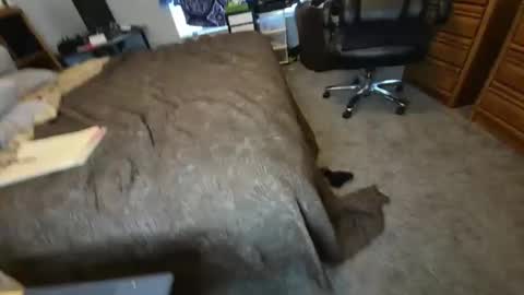 filfaonyx online show from November 2025 05:12:02 PM