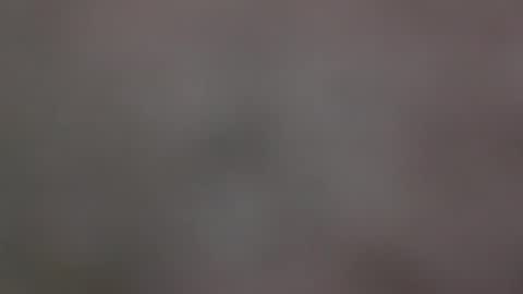 filos17 online show from February 2025 04:29:01 PM