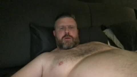 Snapshot of fin_dom_bear chatting on May 2026 05:34:02 AM fin bear dom online show from May 2026 05:34:02 AM