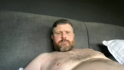 Snapshot of fin_dom_bear chatting on May 2026 11:17:02 AM fin bear dom online show from May 2026 11:17:02 AM