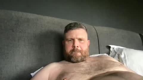 Snapshot of fin_dom_bear chatting on May 2026 04:11:02 PM fin bear dom online show from May 2026 04:11:02 PM