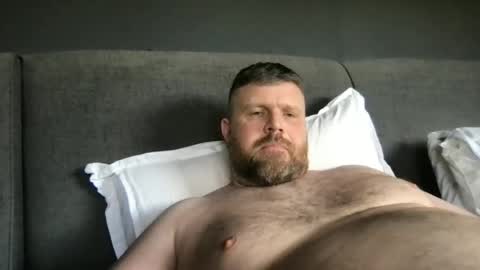 Snapshot of fin_dom_bear chatting on May 2026 02:23:01 PM fin bear dom online show from May 2026 02:23:01 PM