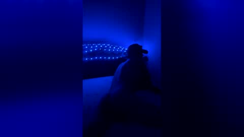 fipgrkqhvcgf online show from May 2026 04:36:01 PM