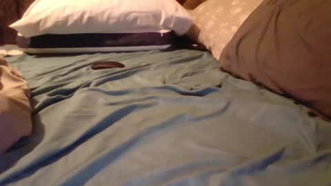 FitBit online show from March 2026 11:01:01 PM