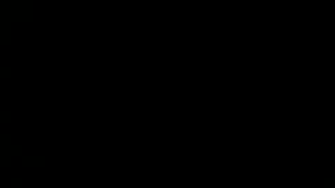 fitonetoo online show from December 2024 12:46:02 PM