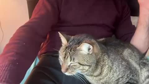 firesoul online show from March 2026 02:01:01 PM