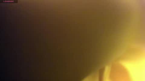    online show from December 2025 04:07:01 AM