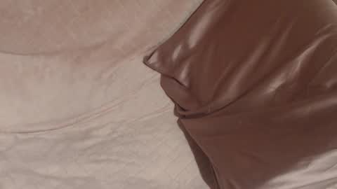 say meow and send tip  online show from December 2025 09:38:01 AM