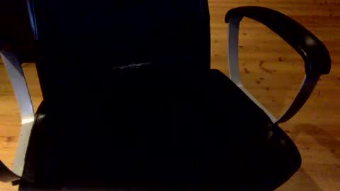 Snapshot of flowmover chatting on March 2025 12:10:02 AM flowmover online show from March 2025 12:10:02 AM