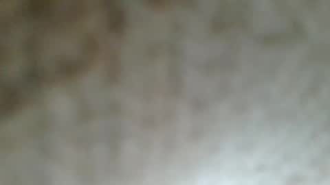 flyn12 online show from February 2026 12:11:01 AM