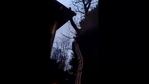 flyyguy69 online show from December 2025 12:11:02 PM