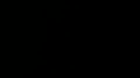 fn53mh13 online show from December 2024 02:06:02 PM