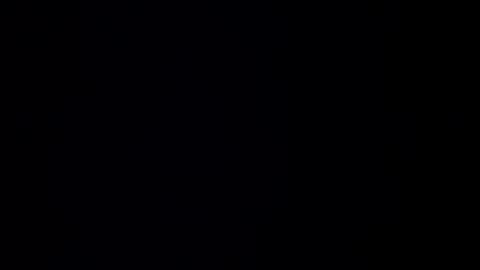 fordsho8981967 online show from January 2025 04:55:01 PM