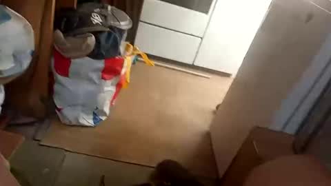 Fouducu online show from March 2026 12:09:01 PM