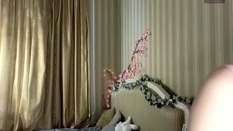 Petra online show from February 2026 11:42:02 AM