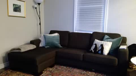 Snapshot of foxybaby_ chatting on October 2025 12:52:02 AM Foxy online show from October 2025 12:52:02 AM