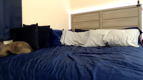 Snapshot of fragilemasochist chatting on December 2024 03:39:01 PM Angel online show from December 2024 03:39:01 PM